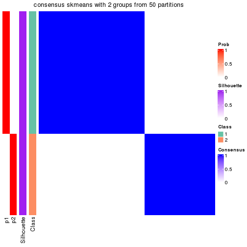 plot of chunk tab-node-023-consensus-heatmap-1