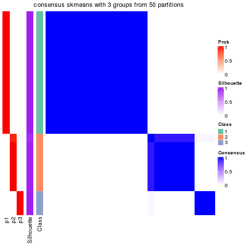 plot of chunk tab-node-023-consensus-heatmap-2