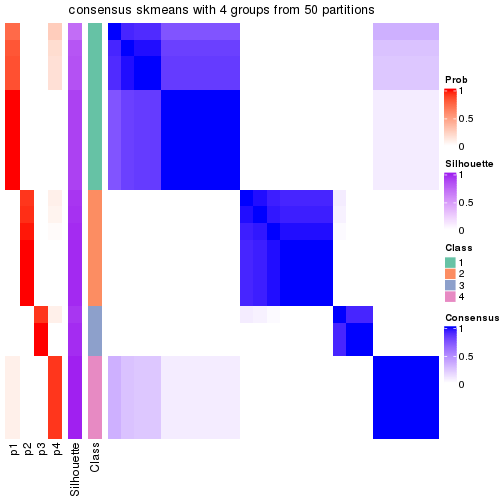 plot of chunk tab-node-023-consensus-heatmap-3