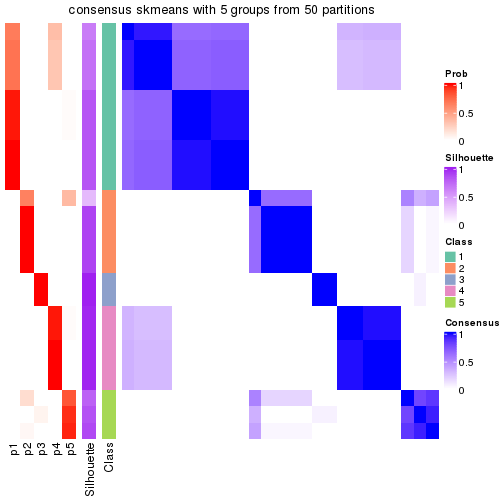 plot of chunk tab-node-023-consensus-heatmap-4