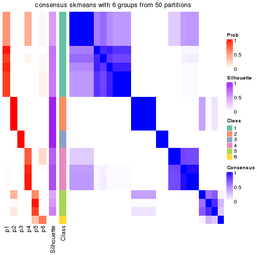 plot of chunk tab-node-023-consensus-heatmap-5