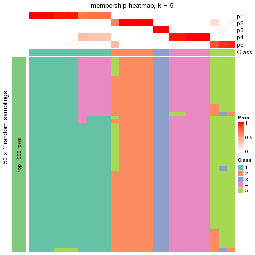 plot of chunk tab-node-023-membership-heatmap-4