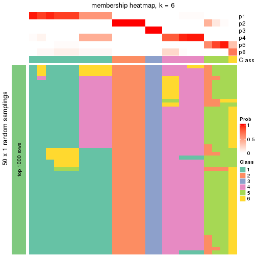 plot of chunk tab-node-023-membership-heatmap-5