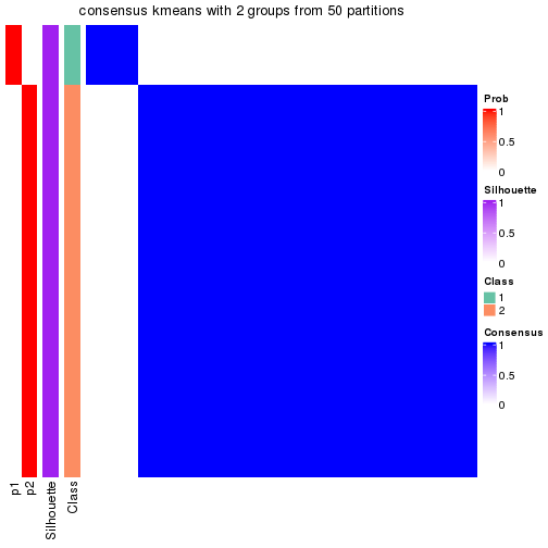 plot of chunk tab-node-0231-consensus-heatmap-1