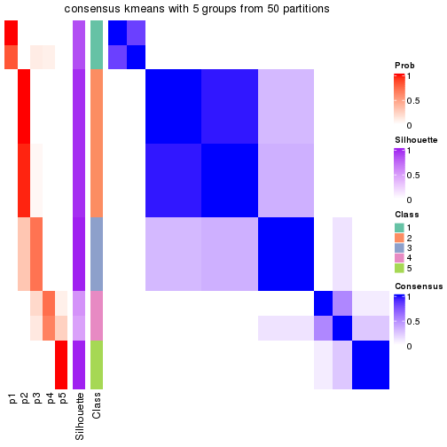 plot of chunk tab-node-0231-consensus-heatmap-4