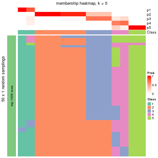 plot of chunk tab-node-0231-membership-heatmap-4