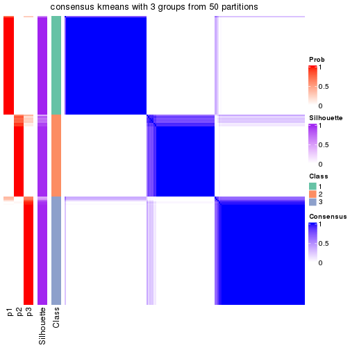 plot of chunk tab-node-03-consensus-heatmap-2