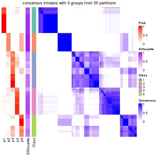 plot of chunk tab-node-03-consensus-heatmap-4