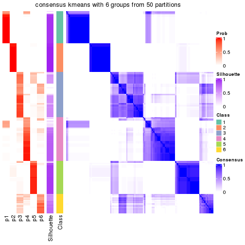 plot of chunk tab-node-03-consensus-heatmap-5