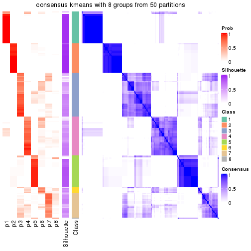 plot of chunk tab-node-03-consensus-heatmap-7