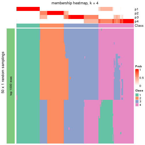 plot of chunk tab-node-03-membership-heatmap-3