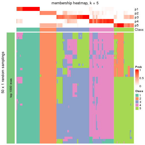 plot of chunk tab-node-03-membership-heatmap-4