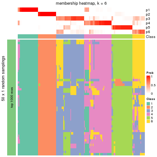 plot of chunk tab-node-03-membership-heatmap-5