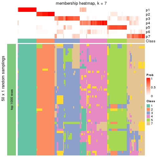 plot of chunk tab-node-03-membership-heatmap-6