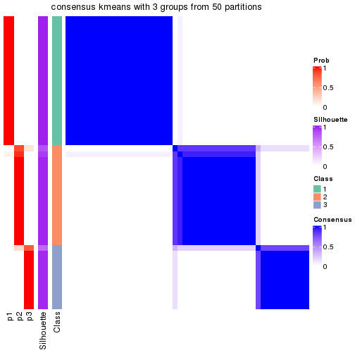 plot of chunk tab-node-032-consensus-heatmap-2