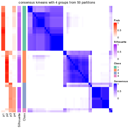 plot of chunk tab-node-032-consensus-heatmap-3