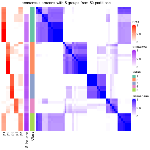 plot of chunk tab-node-032-consensus-heatmap-4