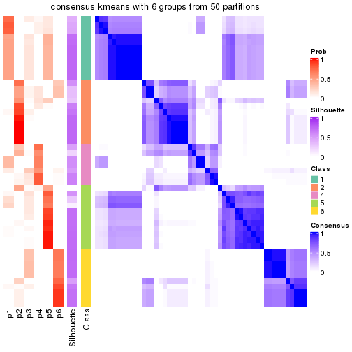 plot of chunk tab-node-032-consensus-heatmap-5