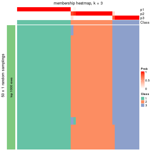 plot of chunk tab-node-032-membership-heatmap-2