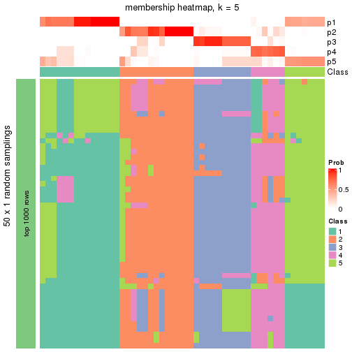 plot of chunk tab-node-032-membership-heatmap-4