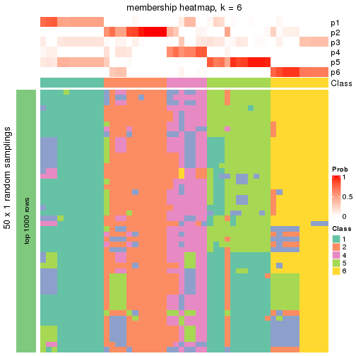 plot of chunk tab-node-032-membership-heatmap-5