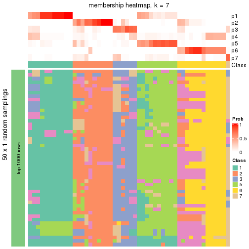 plot of chunk tab-node-032-membership-heatmap-6