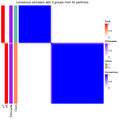 plot of chunk tab-node-033-consensus-heatmap-1