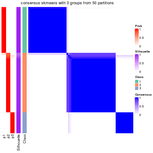 plot of chunk tab-node-033-consensus-heatmap-2