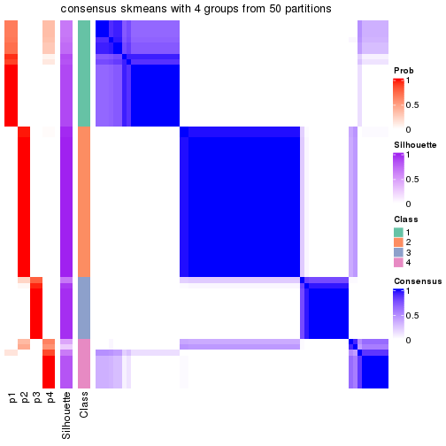 plot of chunk tab-node-033-consensus-heatmap-3