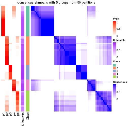 plot of chunk tab-node-033-consensus-heatmap-4