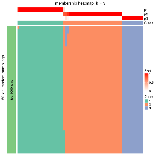 plot of chunk tab-node-033-membership-heatmap-2