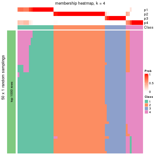 plot of chunk tab-node-033-membership-heatmap-3