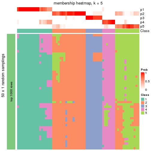 plot of chunk tab-node-033-membership-heatmap-4