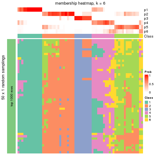 plot of chunk tab-node-033-membership-heatmap-5