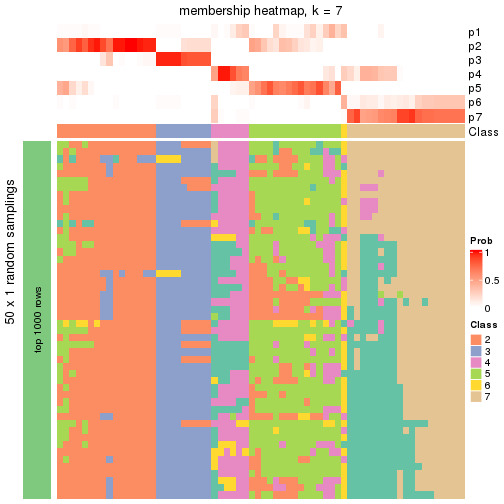 plot of chunk tab-node-033-membership-heatmap-6