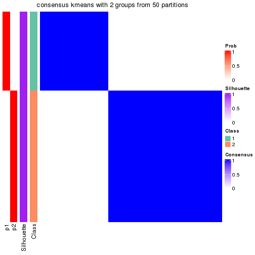 plot of chunk tab-node-0331-consensus-heatmap-1