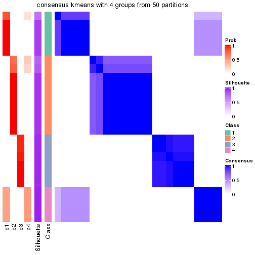 plot of chunk tab-node-0331-consensus-heatmap-3