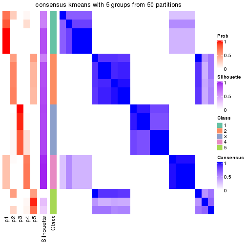 plot of chunk tab-node-0331-consensus-heatmap-4