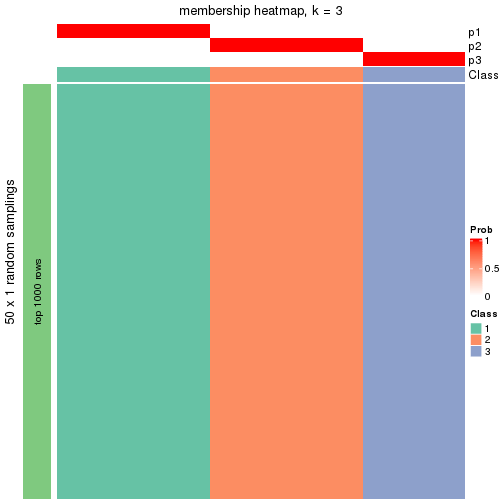 plot of chunk tab-node-0331-membership-heatmap-2