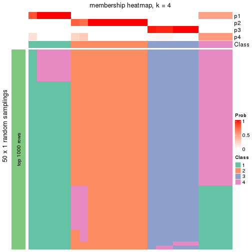 plot of chunk tab-node-0331-membership-heatmap-3