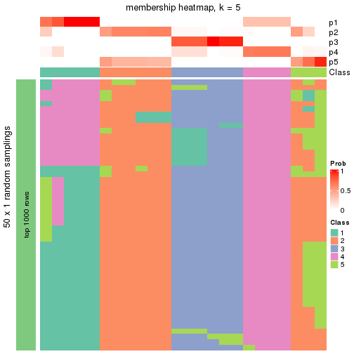 plot of chunk tab-node-0331-membership-heatmap-4