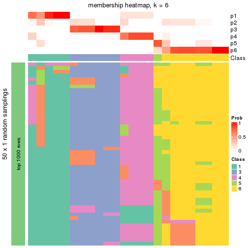 plot of chunk tab-node-0331-membership-heatmap-5