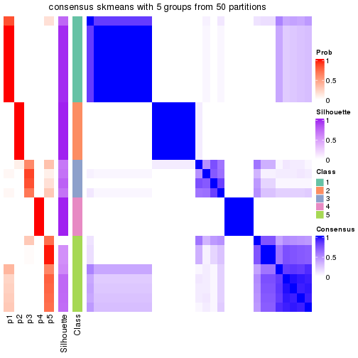 plot of chunk tab-node-0332-consensus-heatmap-4