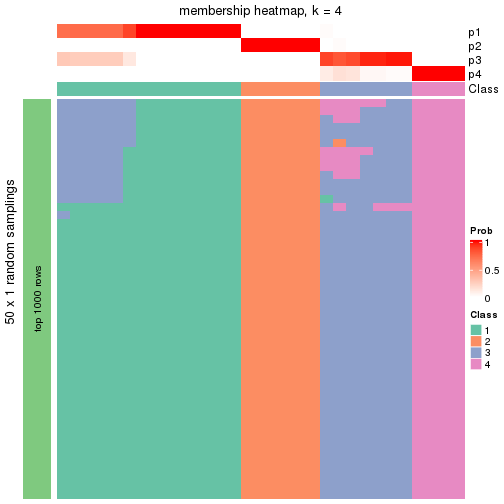 plot of chunk tab-node-0332-membership-heatmap-3