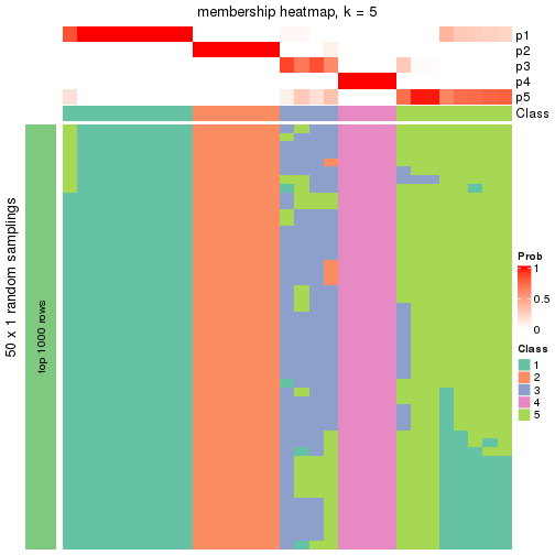 plot of chunk tab-node-0332-membership-heatmap-4