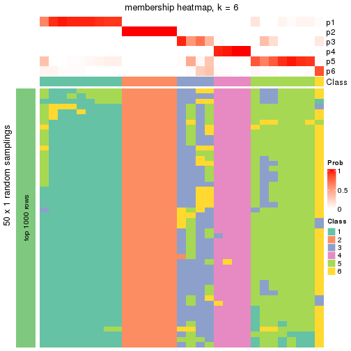 plot of chunk tab-node-0332-membership-heatmap-5