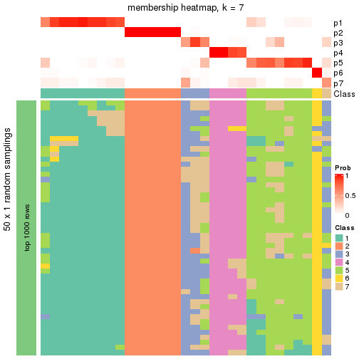 plot of chunk tab-node-0332-membership-heatmap-6