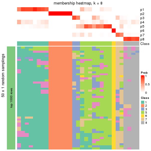 plot of chunk tab-node-0332-membership-heatmap-7