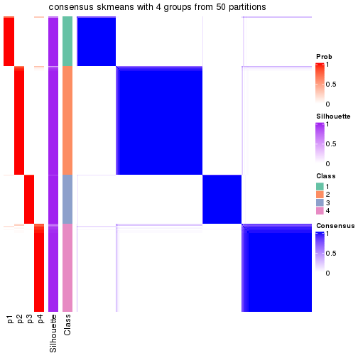 plot of chunk tab-node-0-consensus-heatmap-3