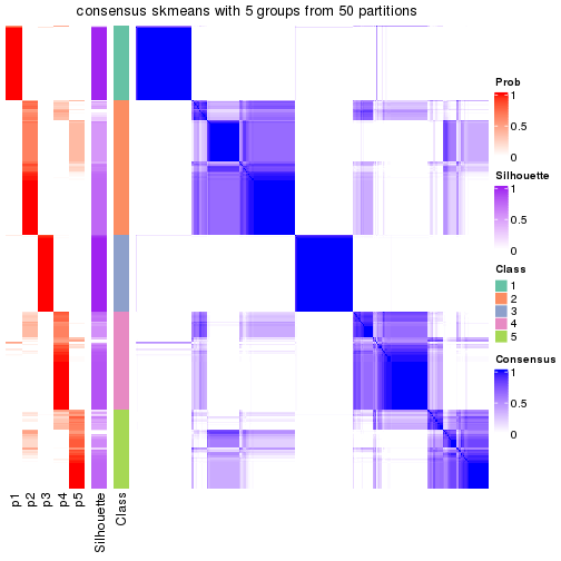 plot of chunk tab-node-0-consensus-heatmap-4